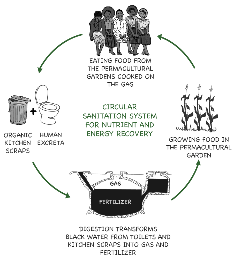circular-sanitation-graphic