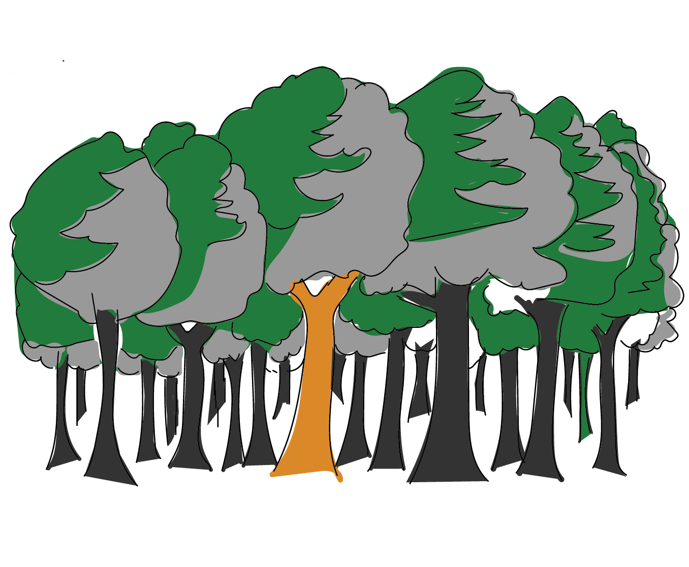 forest-graphic